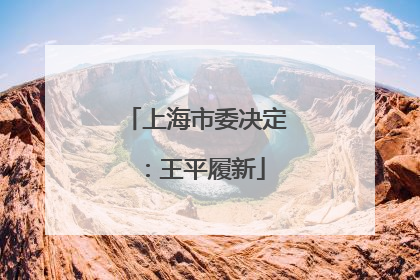 上海市委决定：王平履新