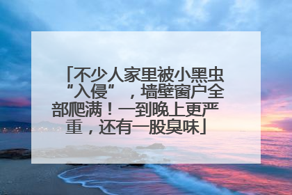 不少人家里被小黑虫“入侵”，墙壁窗户全部爬满！一到晚上更严重，还有一股臭味
