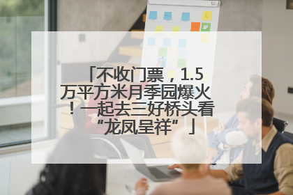 不收门票，1.5万平方米月季园爆火！一起去三好桥头看“龙凤呈祥”