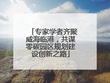 专家学者齐聚威海临港，共谋零碳园区规划建设创新之路