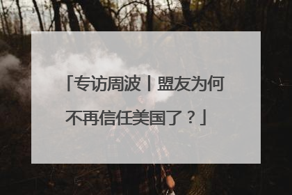 专访周波丨盟友为何不再信任美国了？