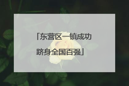 东营区一镇成功跻身全国百强