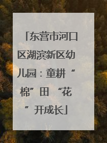 东营市河口区湖滨新区幼儿园：童耕“棉”田 “花”开成长