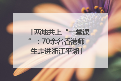 两地共上“一堂课”：70余名香港师生走进浙江平湖