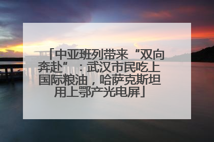 中亚班列带来“双向奔赴”：武汉市民吃上国际粮油，哈萨克斯坦用上鄂产光电屏