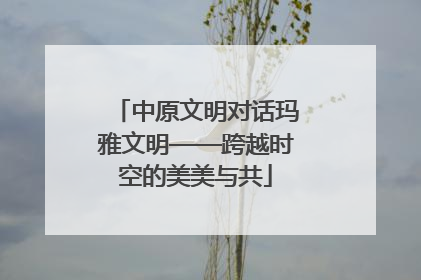 中原文明对话玛雅文明——跨越时空的美美与共