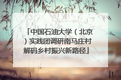 中国石油大学（北京）实践团调研南马庄村解码乡村振兴新路径
