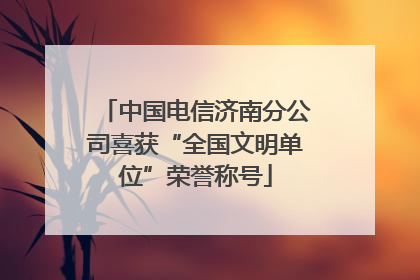 中国电信济南分公司喜获“全国文明单位”荣誉称号