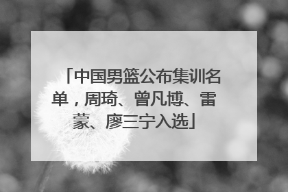 中国男篮公布集训名单，周琦、曾凡博、雷蒙、廖三宁入选
