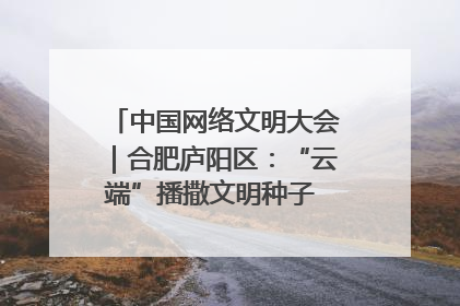 中国网络文明大会｜合肥庐阳区：“云端”播撒文明种子 共建清朗网络空间