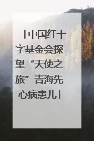 中国红十字基金会探望“天使之旅”青海先心病患儿