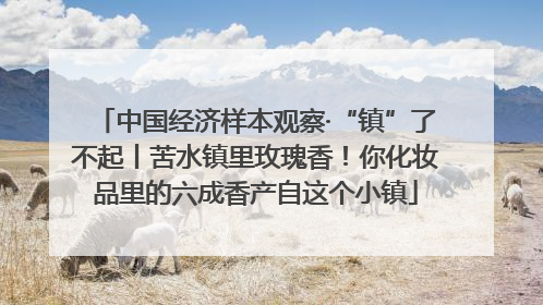 中国经济样本观察·“镇”了不起丨苦水镇里玫瑰香！你化妆品里的六成香产自这个小镇