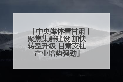 中央媒体看甘肃丨聚焦集群建设 加快转型升级 甘肃支柱产业增势强劲
