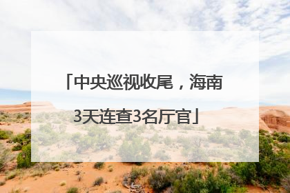 中央巡视收尾，海南3天连查3名厅官