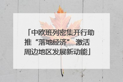 中欧班列密集开行助推“落地经济” 激活周边地区发展新动能