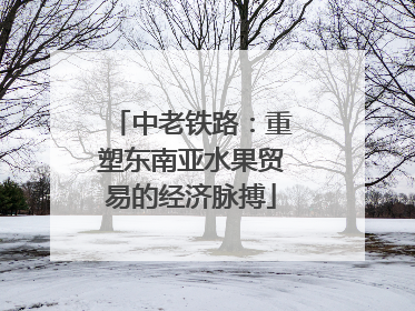 中老铁路：重塑东南亚水果贸易的经济脉搏