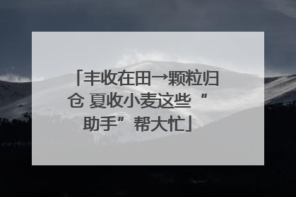 丰收在田→颗粒归仓 夏收小麦这些“助手”帮大忙