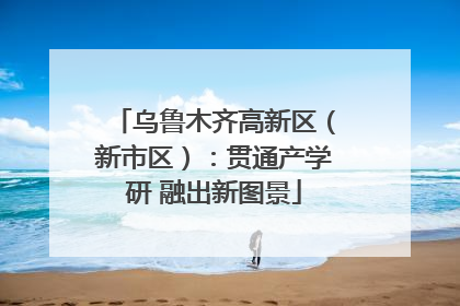 乌鲁木齐高新区（新市区）：贯通产学研 融出新图景