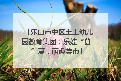 乐山市中区土主幼儿园教育集团：乐娃“葚”夏，萌趣集市