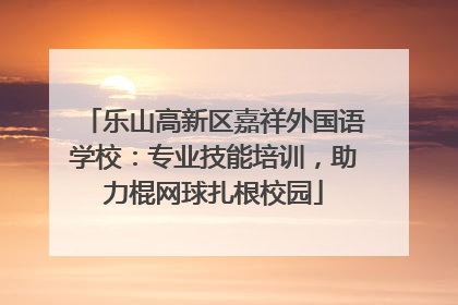 乐山高新区嘉祥外国语学校：专业技能培训，助力棍网球扎根校园
