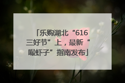 乐购湖北“616三好节”上，最新“嘬虾子”指南发布