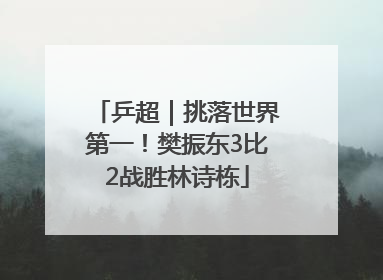 乒超｜挑落世界第一！樊振东3比2战胜林诗栋