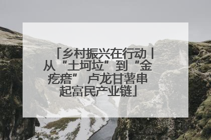 乡村振兴在行动丨从“土坷垃”到“金疙瘩” 卢龙甘薯串起富民产业链