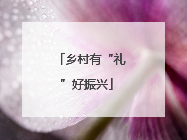 乡村有“礼”好振兴