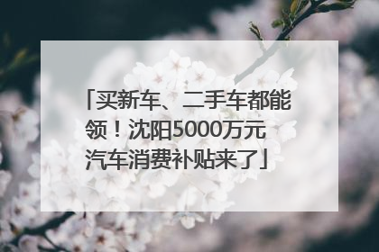 买新车、二手车都能领！沈阳5000万元汽车消费补贴来了