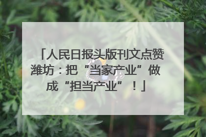 人民日报头版刊文点赞潍坊：把“当家产业”做成“担当产业”！