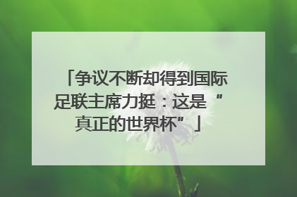 争议不断却得到国际足联主席力挺：这是“真正的世界杯”