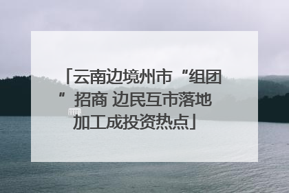 云南边境州市“组团”招商 边民互市落地加工成投资热点