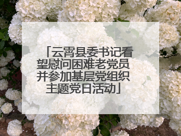 云霄县委书记看望慰问困难老党员并参加基层党组织主题党日活动