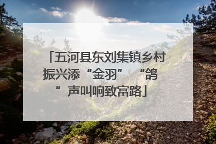 五河县东刘集镇乡村振兴添“金羽” “鸽”声叫响致富路