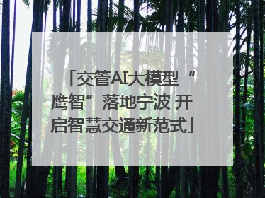交管AI大模型“鹰智”落地宁波 开启智慧交通新范式