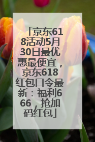 京东618活动5月30日最优惠最便宜，京东618红包口令最新：福利666，抢加码红包