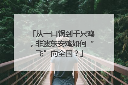 从一口锅到千只鸡，非遗东安鸡如何“飞”向全国？