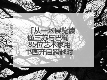 从一场展览读懂三苏与巴蜀 85位艺术家用书画开启跨越时空的文化对话