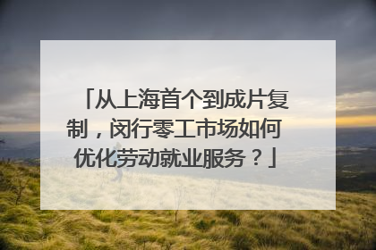从上海首个到成片复制，闵行零工市场如何优化劳动就业服务？