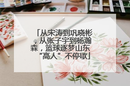 从宋涛到巩晓彬，从张子宇到杨瀚森，篮球逐梦山东“高人”不停歇