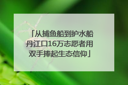 从捕鱼船到护水船 丹江口16万志愿者用双手捧起生态信仰
