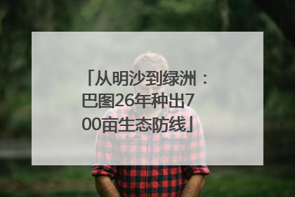 从明沙到绿洲：巴图26年种出700亩生态防线