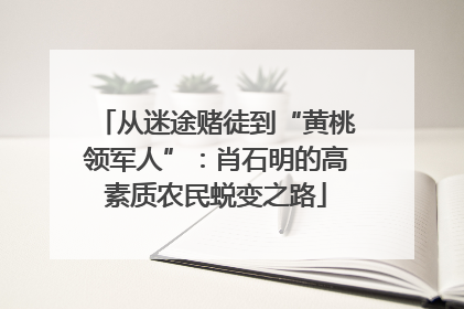 从迷途赌徒到“黄桃领军人”：肖石明的高素质农民蜕变之路