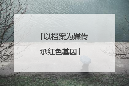 以档案为媒传承红色基因