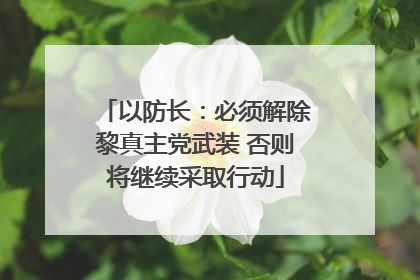 以防长：必须解除黎真主党武装 否则将继续采取行动