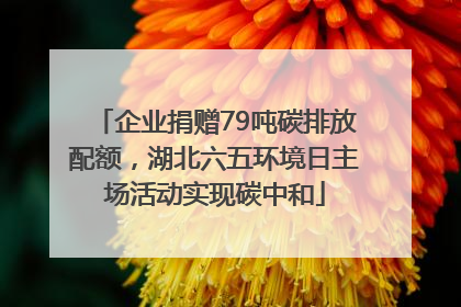 企业捐赠79吨碳排放配额，湖北六五环境日主场活动实现碳中和