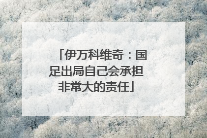 伊万科维奇：国足出局自己会承担非常大的责任