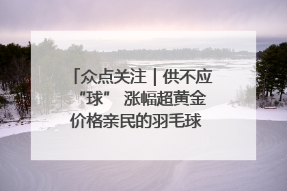 众点关注｜供不应“球” 涨幅超黄金 价格亲民的羽毛球为何身价飞涨？