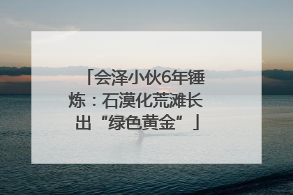 会泽小伙6年锤炼：石漠化荒滩长出“绿色黄金”