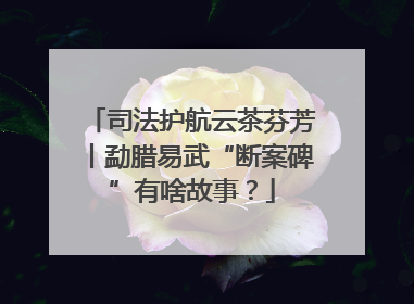 司法护航云茶芬芳丨勐腊易武“断案碑”有啥故事？